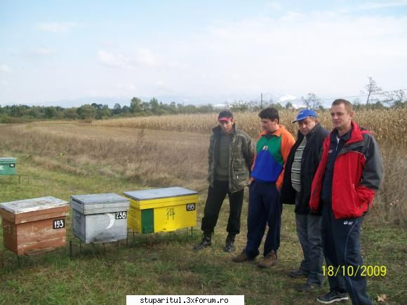Alt Stupar - Octombrie 2009, Beius. Gazda - un apicultor cu - PAGINI PERSONALE ! CINE SUNT EU ?