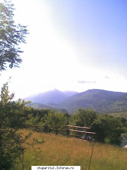 Am divizat o familie albine in doua, sa vedem - Multumesc, ramele cu foite - INMULTIREA FAMILIILOR DE ALBINE