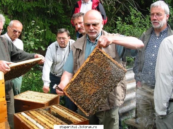 Antibiotice administrate doar in cuib.. - Va dau un model de la un priten - BOLI SI DAUNATORI - TRATAMENTE