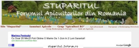 Anunt Google - Sau, mai in detaliu - NEURONU` ZAMBARET