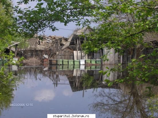 Apicultura in comuna Rast,jud.Dolj - Am scapat de inundatii "CONTROLATE" de guvernanti - POZE