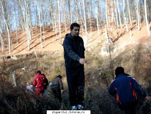 Apicultura urata din Romania - mai dam cate o indicatie...nu ai facut nimic - DISCUTII APICOLE DIVERSE