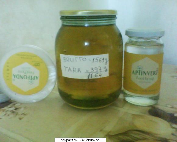 Apiinvert - Fotografie facuta ieri la o proba de zahar - HRANIREA ARTIFICIALA
