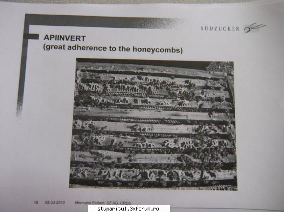 Apiinvert - dumitriu - HRANIREA ARTIFICIALA