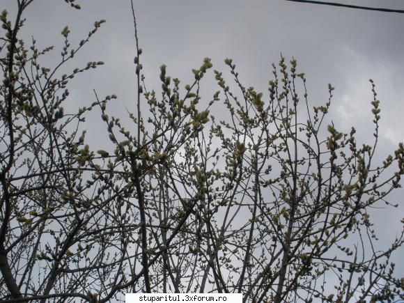 Ardealu - mai de ansamblu - JURNAL DE APICULTOR - JURNALE PERSONALE