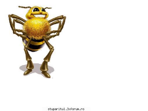 Astazi au primit a II-a turta in 2007 - Sigur hranirea artificiala prin turte este - POZE