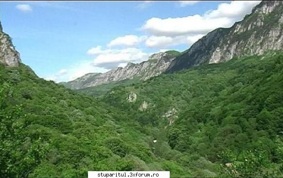 Aventura in Valea Cernei pe urmele lui Hercules - Doresc sa va ofer mai - CAFENEA - DISCUTII DESPRE ORICE