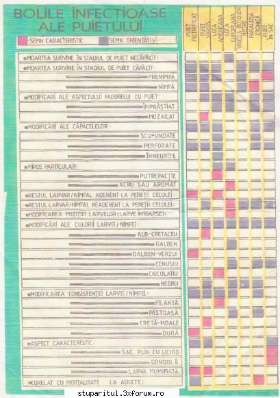 Bolile puietului - O diagrama simpla cu bolile puietului - BOLI SI DAUNATORI - TRATAMENTE