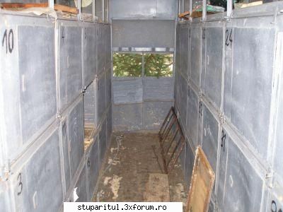 CAT DE BUN ESTE pavilionul? - cipy - INTRETINEREA ALBINELOR