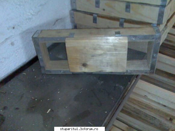 CAT DE BUN ESTE pavilionul? - cipy - INTRETINEREA ALBINELOR