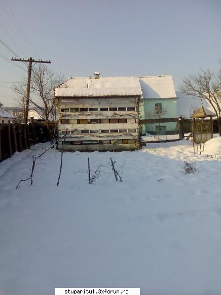 C�teva poze - şi �ncă una cu stupina veche, cu - PAGINI PERSONALE ! CINE SUNT EU ?