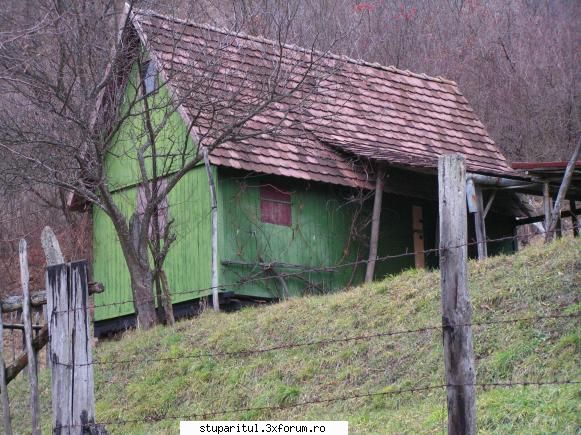Cabana apicola. - langa ea un mic refugiu - ECHIPAMENTE SI UTILAJE APICOLE