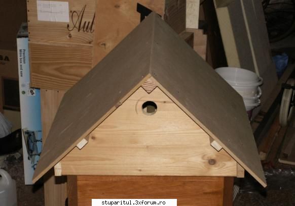 Capac de stup in doua ape - alte poze ale aceluiasi model - PLANURI....PLANURI....PLANURI.....