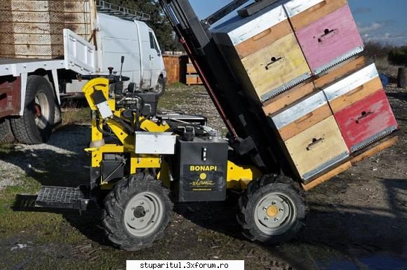 Capac tabla telescopic - Cu cine ai vorbit? Uite o poza de la Radu Dulau - ECHIPAMENTE SI UTILAJE APICOLE