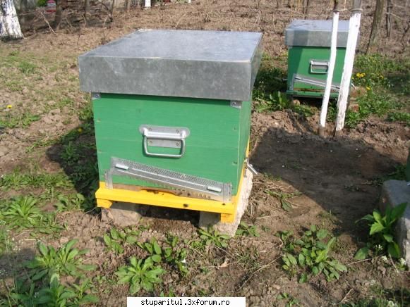 Capacul stupului - dupa cum sper ca se vede aici capacul e un pic - ECHIPAMENTE SI UTILAJE APICOLE