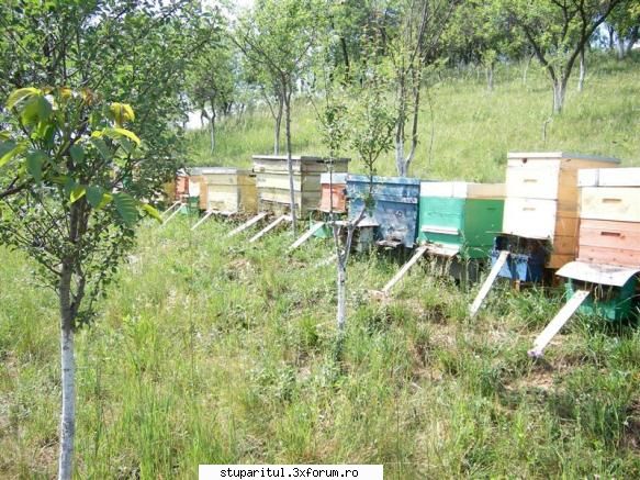 Capacul stupului - Colectorul de polen, trebuie sa fie in partea - ECHIPAMENTE SI UTILAJE APICOLE