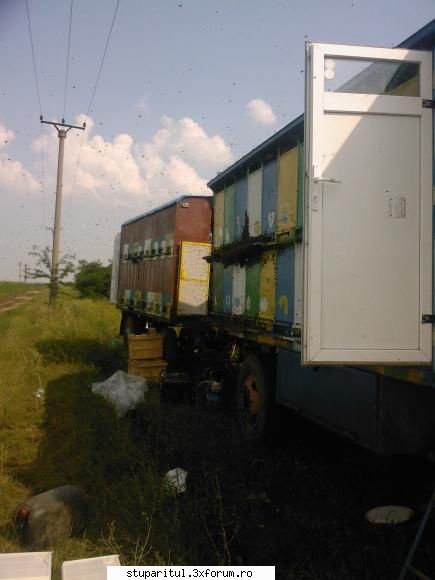 Care stup este cel mai bun pt pavilion - In privinta mobilitatii, tin sa - REZERVAT MEMBRILOR "STUPARITUL"