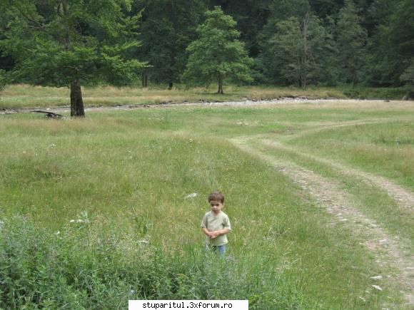 Ce am gasit < de 2 MB: - Inspectie flora de munte. Se vede in josul foto - POZE