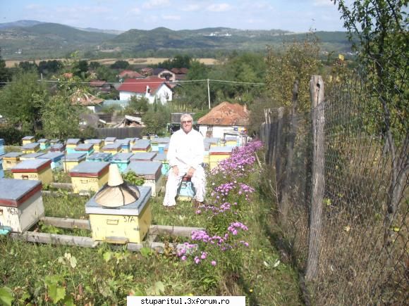 Ce mai ciugulim in septembrie... - Fiecare cu avantaje si dezavantajele lu foarte - POZE