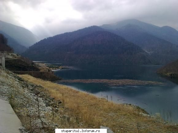 Cine nu spera, dispera, adica se curata. - de prin tara adunate - PAGINI PERSONALE ! CINE SUNT EU ?