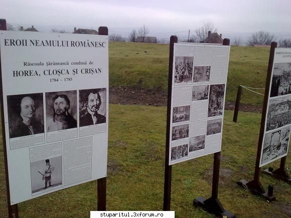 Cine nu spera, dispera, adica se curata. - unii care au prins vremuri - PAGINI PERSONALE ! CINE SUNT EU ?