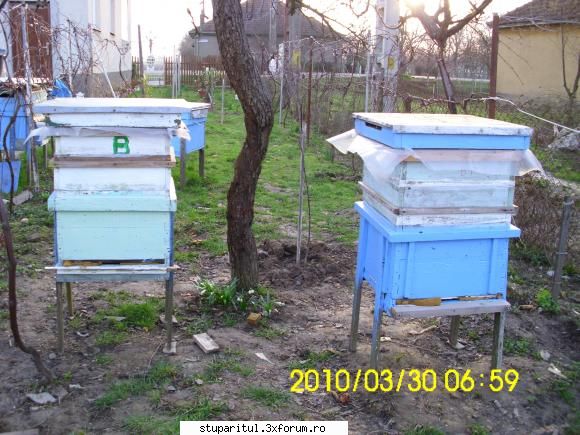 Cine sunt eu-Valer Bodea - Nu avem corn �n zonă, nici piersic sau - PAGINI PERSONALE ! CINE SUNT EU ?