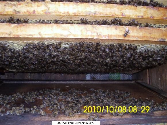 cine sunt eu-valer bodea acesta i-am făcut rocada matca altuia, cea mai mică. obicei