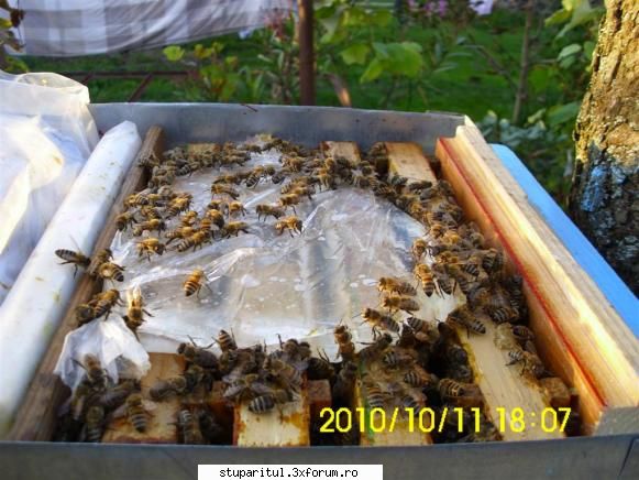 Cine sunt eu-Valer Bodea - Nici după 24 de ore nu au terminat cele - PAGINI PERSONALE ! CINE SUNT EU ?