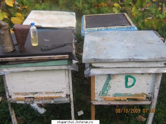 Cine sunt eu-Valer Bodea - Nemaiav�nd lăzi mari patru familii - PAGINI PERSONALE ! CINE SUNT EU ?