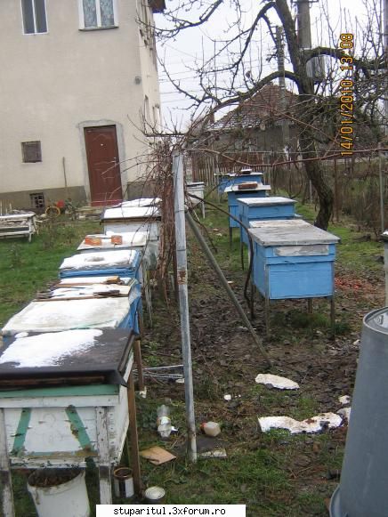 Cine sunt eu-Valer Bodea - O poză mai clară, făcută - PAGINI PERSONALE ! CINE SUNT EU ?