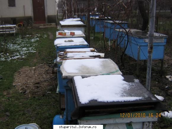 Cine sunt eu-Valer Bodea - �n 12 ianuarie la ora 16.24 pe lăzile cu - PAGINI PERSONALE ! CINE SUNT EU ?