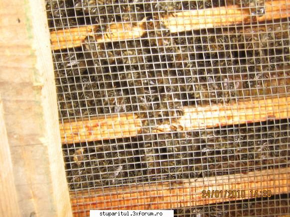 Cine sunt eu-Valer Bodea - Afară minus 5 grade. �năuntru - PAGINI PERSONALE ! CINE SUNT EU ?