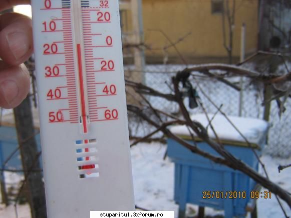 Cine sunt eu-Valer Bodea - Termometrul arăta -16 grade c�nd am - PAGINI PERSONALE ! CINE SUNT EU ?