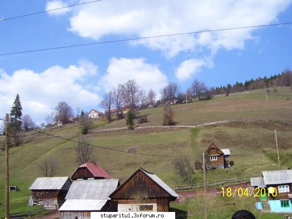 Cine sunt eu Criste Sorin(cristesorin)...? - Dupa salcam o sa aduc stupii - PAGINI PERSONALE ! CINE SUNT EU ?