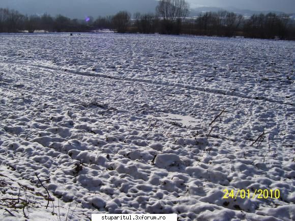 Cine sunt eu Criste Sorin(cristesorin)...? - Soiuri ,Real si Magic. Sunt - PAGINI PERSONALE ! CINE SUNT EU ?