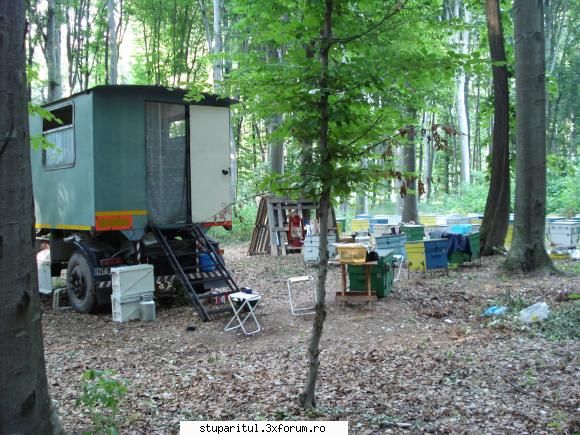 Cine sunt eu Iustinmonahul - La tei zona Buciumeni-Tecuci 2007 - PAGINI PERSONALE ! CINE SUNT EU ?