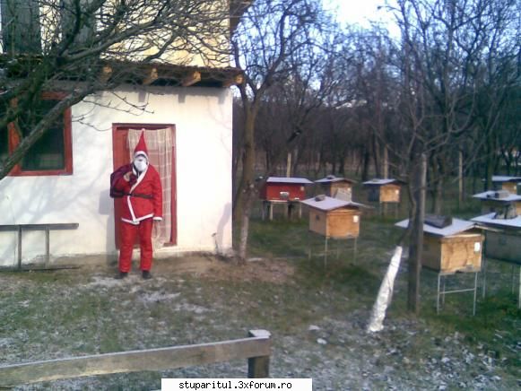 Cine sunt eu ...maruta - A venit mosul in anul 2008, dar in 2009...criza ! - PAGINI PERSONALE ! CINE SUNT EU ?
