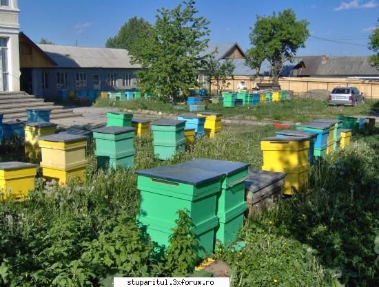 Cladire rame - Honey Land , Albina tanara nu e rusinoasa si urca - INMULTIREA FAMILIILOR DE ALBINE
