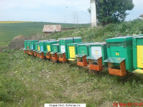 Colector de polen experimental - vio - ECHIPAMENTE SI UTILAJE APICOLE