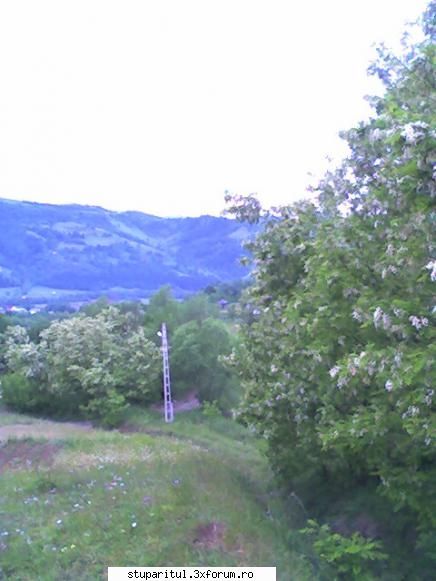 Colivi pt matci de cumparat - Buna ziua, unde pot gasi colivii cat mai aproape - CRESTEREA MATCILOR