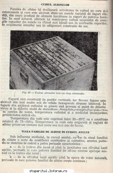 Colonia optima pentru productia de miere. - Fazele prin care trece o colonie intr-un - INTRETINEREA ALBINELOR