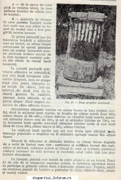 Colonia optima pentru productia de miere. - gica - INTRETINEREA ALBINELOR