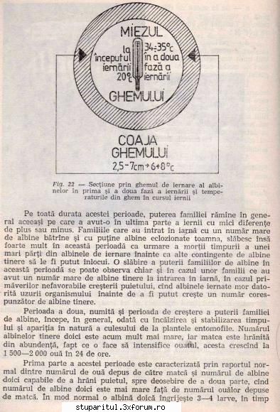 Colonia optima pentru productia de miere. - gica - INTRETINEREA ALBINELOR