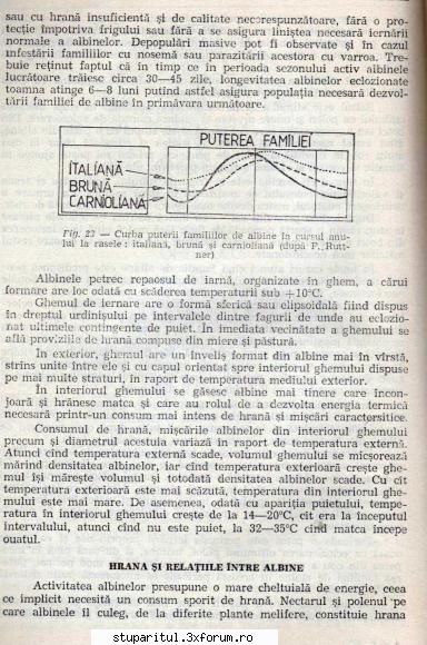 Colonia optima pentru productia de miere. - gica - INTRETINEREA ALBINELOR