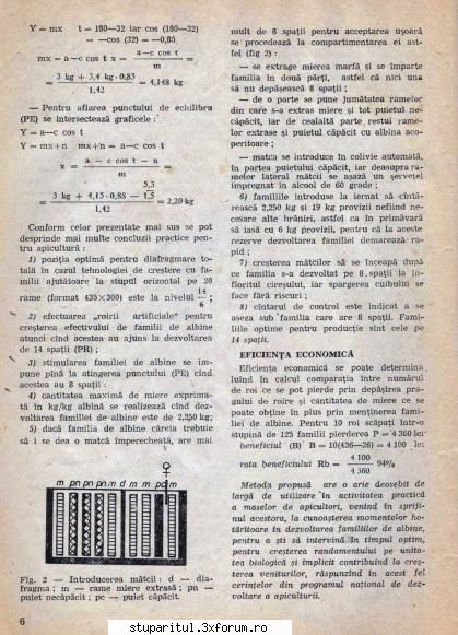 Colonia optima pentru productia de miere. - gica - INTRETINEREA ALBINELOR