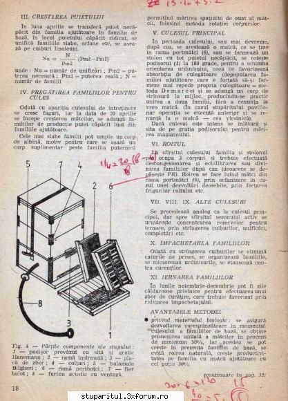 Colonia optima pentru productia de miere. - gica - INTRETINEREA ALBINELOR