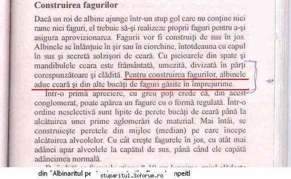 Comportament - Fagure ros - * si poza. scuze. scan din "Albinaritul pentru - PAGINA APICULTORULUI INCEPATOR