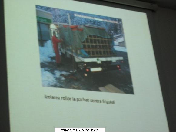 Conferinta la Cluj Napoca despre cresterea matcilor - lucky5strike - CRESTEREA MATCILOR