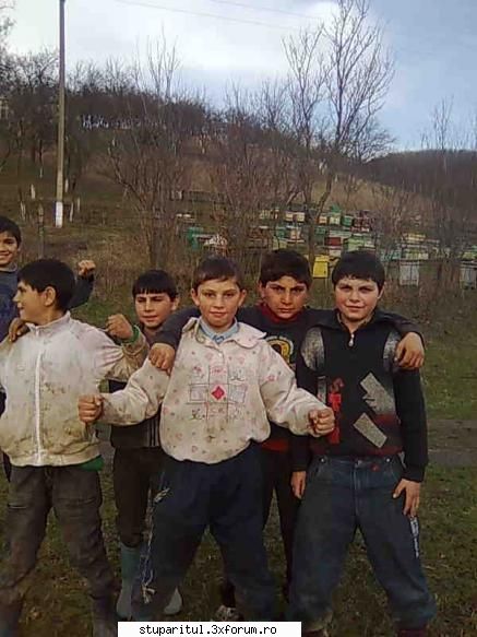 Cum combatem, raufacatori?? - Pana sambata ma laudam ca la mine in stupina - CAFENEA - DISCUTII DESPRE ORICE