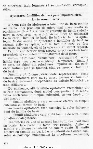 Cum ma sfatuiti sa fac? - andrei_salaj - PAGINA APICULTORULUI INCEPATOR